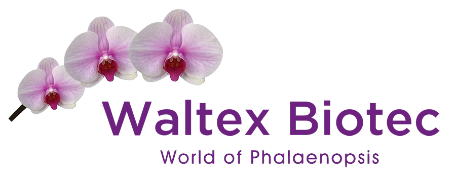 Waltexbiotec